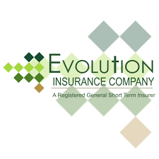 Auto Glass Centre - Evolution